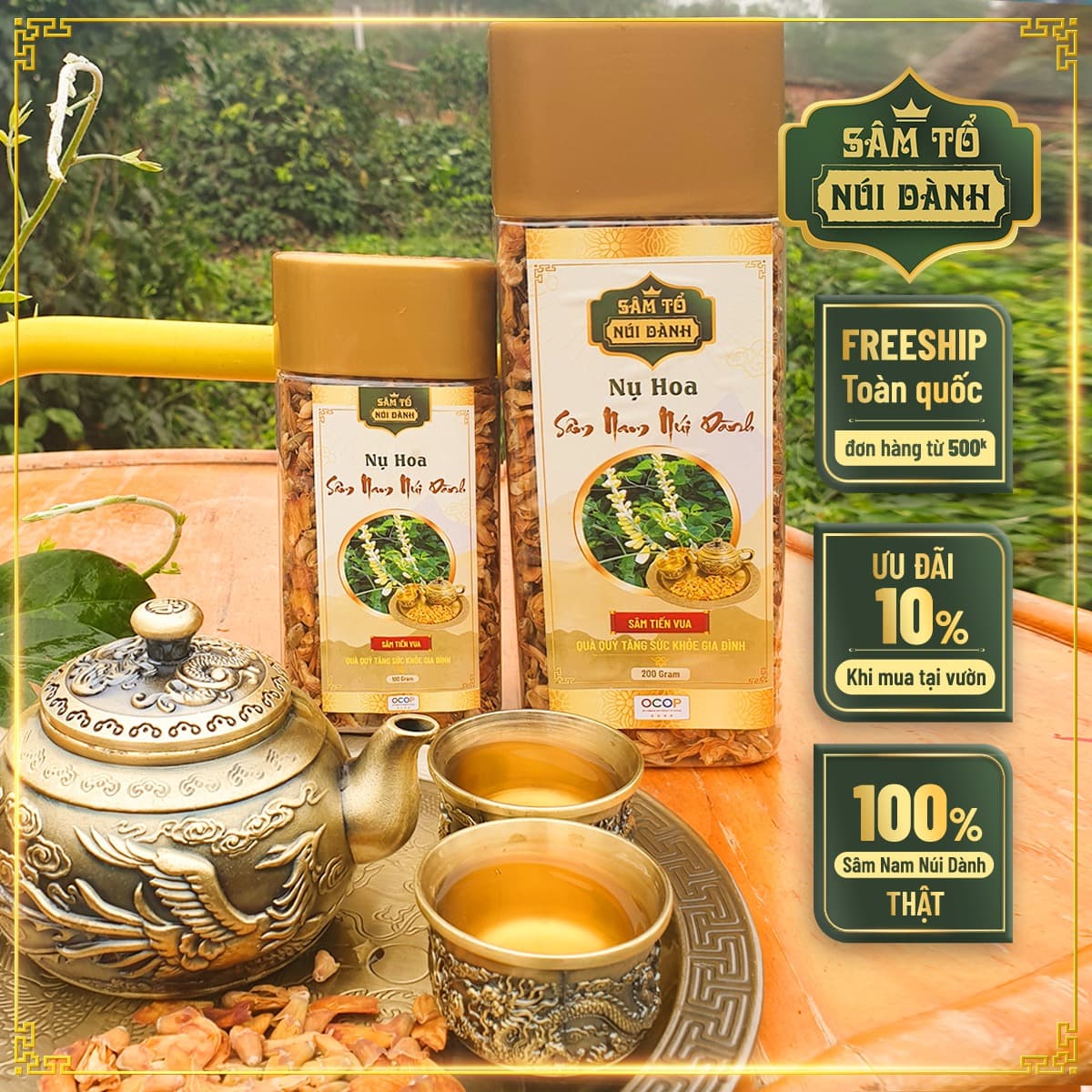 Nụ Hoa sâm núi Cô Tiên